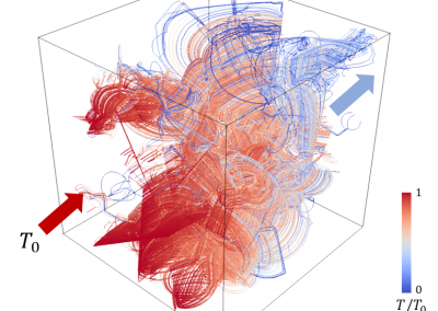 Thermo-mechanical coupling in DFN